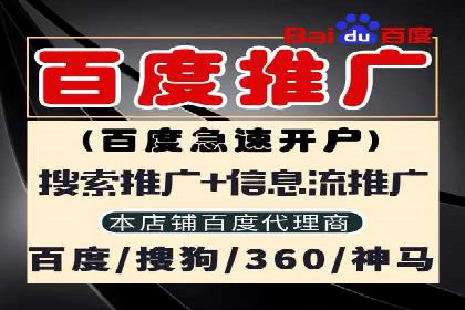 百度推广实战：助力企业快速占领市场份额